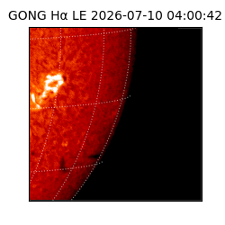 gong - 2026-07-10T04:00:42