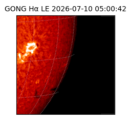 gong - 2026-07-10T05:00:42