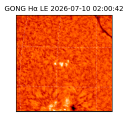 gong - 2026-07-10T02:00:42