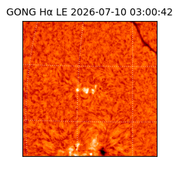 gong - 2026-07-10T03:00:42