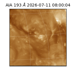 saia - 2026-07-11T08:00:04.841000