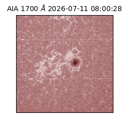 saia - 2026-07-11T08:00:28.716000