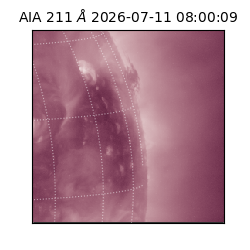 saia - 2026-07-11T08:00:09.623000