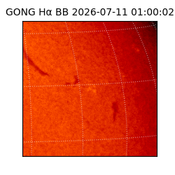 gong - 2026-07-11T01:00:02