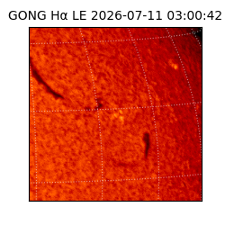 gong - 2026-07-11T03:00:42