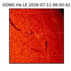 gong - 2026-07-11T06:00:42