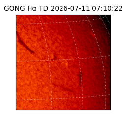 gong - 2026-07-11T07:10:22