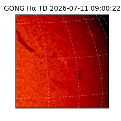 gong - 2026-07-11T09:00:22
