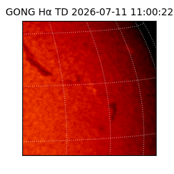 gong - 2026-07-11T11:00:22