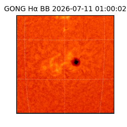 gong - 2026-07-11T01:00:02