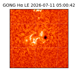 gong - 2026-07-11T05:00:42
