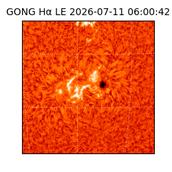 gong - 2026-07-11T06:00:42