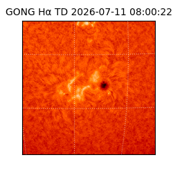 gong - 2026-07-11T08:00:22