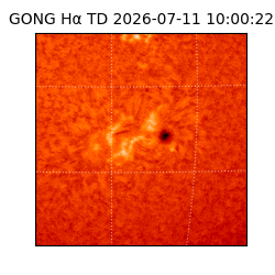 gong - 2026-07-11T10:00:22