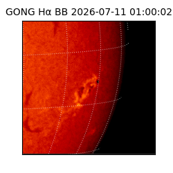 gong - 2026-07-11T01:00:02