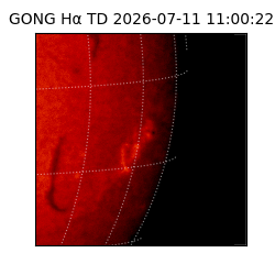 gong - 2026-07-11T11:00:22