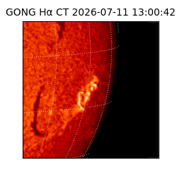 gong - 2026-07-11T13:00:42