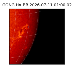 gong - 2026-07-11T01:00:02