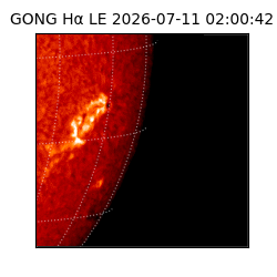 gong - 2026-07-11T02:00:42