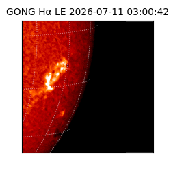 gong - 2026-07-11T03:00:42