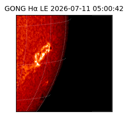 gong - 2026-07-11T05:00:42
