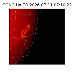 gong - 2026-07-11T07:10:22