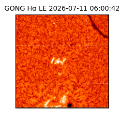 gong - 2026-07-11T06:00:42