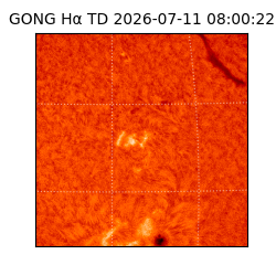 gong - 2026-07-11T08:00:22