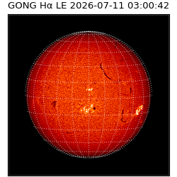 gong - 2026-07-11T03:00:42