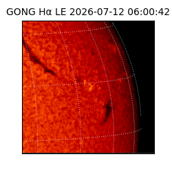 gong - 2026-07-12T06:00:42