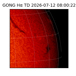 gong - 2026-07-12T08:00:22