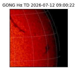 gong - 2026-07-12T09:00:22