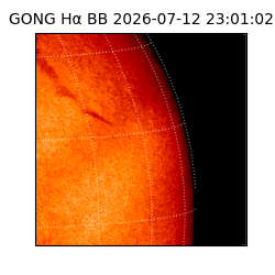 gong - 2026-07-12T23:01:02