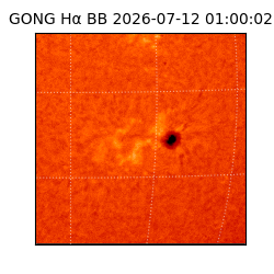 gong - 2026-07-12T01:00:02