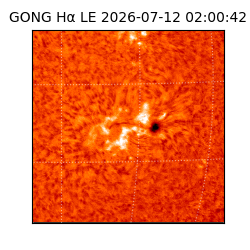 gong - 2026-07-12T02:00:42