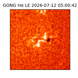 gong - 2026-07-12T05:00:42