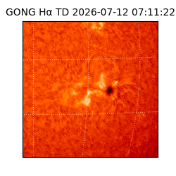 gong - 2026-07-12T07:11:22