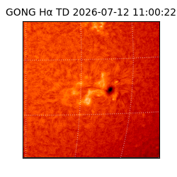 gong - 2026-07-12T11:00:22