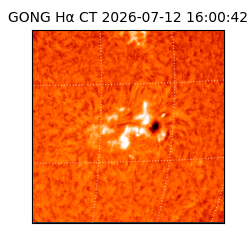 gong - 2026-07-12T16:00:42