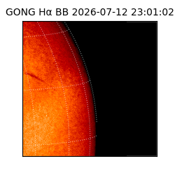 gong - 2026-07-12T23:01:02