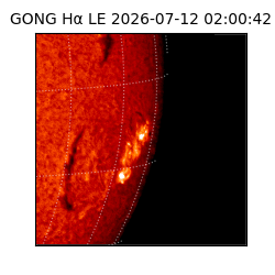 gong - 2026-07-12T02:00:42