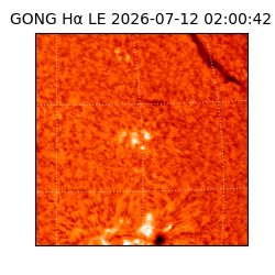 gong - 2026-07-12T02:00:42