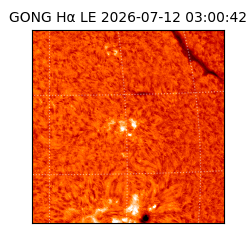 gong - 2026-07-12T03:00:42