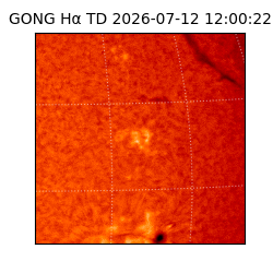gong - 2026-07-12T12:00:22