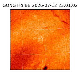 gong - 2026-07-12T23:01:02