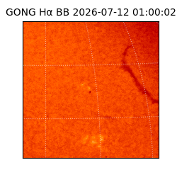 gong - 2026-07-12T01:00:02