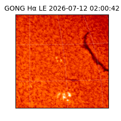 gong - 2026-07-12T02:00:42