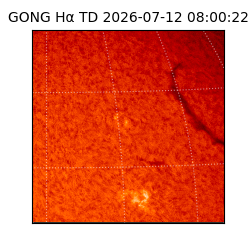 gong - 2026-07-12T08:00:22