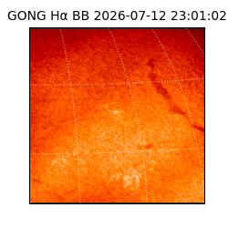 gong - 2026-07-12T23:01:02