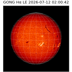 gong - 2026-07-12T02:00:42